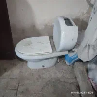 فرنگی چینی سالم