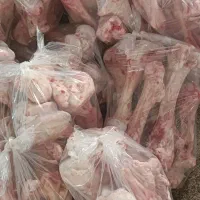 قلم گوساله .شتر|خوردنی و آشامیدنی|مشهد, کارگران|دیوار