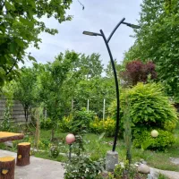 اجاره روزانه ویلای تک خواب بسیار تمیز و زیبا رشت