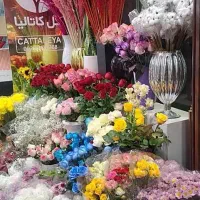 به یک همکار نیمه وارد یا وارد نیازمندیم