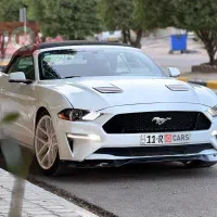 فورد موستانگ کروک 2019 گذر موقت سام گروپ|خودرو سواری و وانت|تهران, میرداماد|دیوار