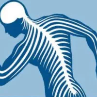 به یک فیزیوتراپیست نیازمندیم