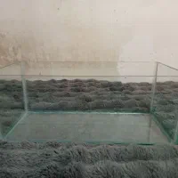 آکواریوم کاملاً سالم