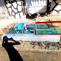 آکواریوم|ماهی|بناب, |دیوار