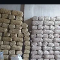 کارگاه بادام زمینی و تخمه|حراج|بوکان, |دیوار