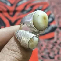 سنگ بشرط|کلکسیون اشیاء عتیقه|بندر کنگان, |دیوار