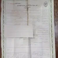فروش فیش حج تمتع|تور و چارتر|سبزوار, کاشفی شمالی (دادگستری)|دیوار