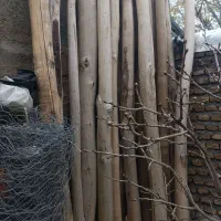 فروش چوب