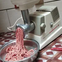 چرخ گوشت پارس خزر