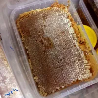 عسل طبیعی تضمینی