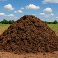 کود حیوانی گاوی گوسفندی مرغی