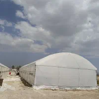 فروش گلخانه خانگی 300متری کاشته شده سوران هست|فروش دفتر صنعتی، کشاورزی، تجاری|سیب و سوران, |دیوار