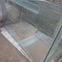 آکواریوم|ماهی|اردبیل, |دیوار