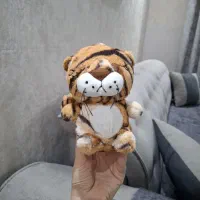 ماشین کنترلی برق دیجیتال و عروسک همه 300
