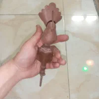 حیوان علامت حسن صفر