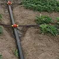 اجرای آبیاری،قطره ای