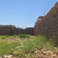 ۷قصب زمین خیابان کازرونی