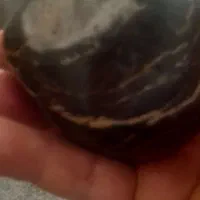 سنگ|جواهرات|ساری, |دیوار