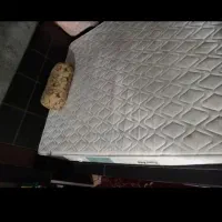 سلام تخت وتشک نونو