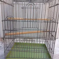 قفس پرنده