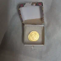 نیم سکه غیربانکی