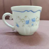 آرکوپال اصل گل آبی