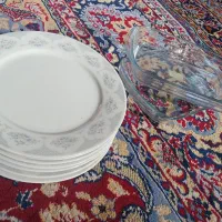 ظروف پزیرایی