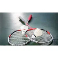 همبازی بدمینتون