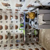 ویلا یک خوابه جویبار|اجارهٔ کوتاه‌مدت ویلا و باغ|کوهی‌خیل, |دیوار