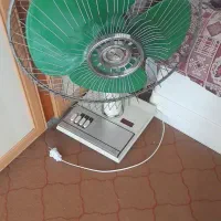 پنکه توشیبا