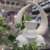 کاسه آبگوشت آرکوپال