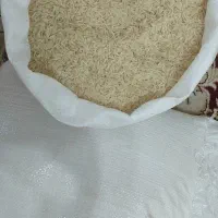 طارم هاشمی درجه یک