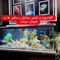 آکواریوم