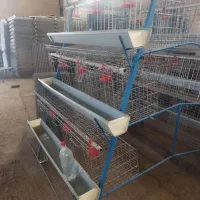 تولید تخم مرغ با قفس های ممبری 3طبقه|ماشین‌آلات صنعتی|قزوین, |دیوار