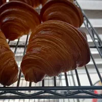 پخش کننده کروسان ساده ۹۰ گرمی به صورت عمده|خوردنی و آشامیدنی|تهران, کوهک|دیوار