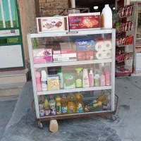 ویترین نونو چرخ دار شیشه ای آلمینیومی سالم