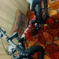 دوچرخه لاستیک پهن|دوچرخه، اسکیت، اسکوتر|اردکان, |دیوار