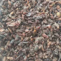 کشمش و مویز افتابی پاک شده|خوردنی و آشامیدنی|نجفآباد, منتظری جنوبی|دیوار