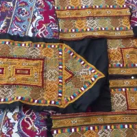 زیاستین‌تمام‌دست
