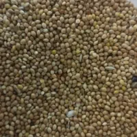 لوازم جانبی حیوانات