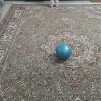 فرش درحد نو|فرش|اراک, |دیوار