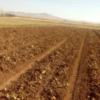 زمین کشاورزی ووایی