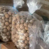 گردوی بوانات پوست کاغذی|خوردنی و آشامیدنی|شیراز, معالیآباد|دیوار