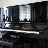 )شرایط قسطی 6و12ماهه بدون سود35٪پیش پرداخت|پیانو، کیبورد، آکاردئون|گلپایگان, |دیوار