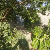 حیاط ویلایی|فروش خانه و ویلا|کبودرآهنگ, |دیوار