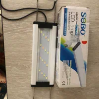 نور اکواریوم|ماهی|تهران, مرادآباد|دیوار