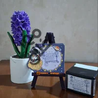 مهر خلاق ، ماندگار و منحصر به فرد|خدمات رایانه‌ای و موبایل|بم, |دیوار