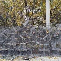 قفسه مرغ تخم گذار