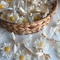 شمع و گیفت|صنایع دستی و سایر لوازم تزئینی|بیرجند, |دیوار