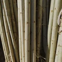 عمده و خرده با ارسال سریع